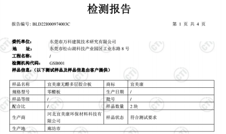 檢測報告