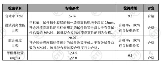 檢測報告