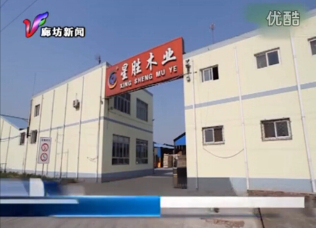 廊坊電視臺報導宜美康木業公司